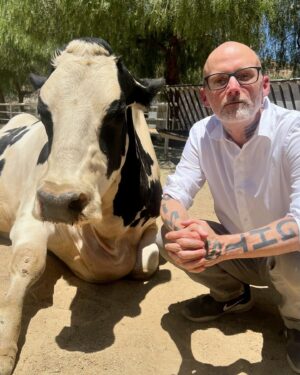 Moby Instagram - Day trip to @thegentlebarn to say hi to my best friends (who are rescued cows). It’s always amazing to visit happy, calm, safe animals to be reminded that every animal is an individual, entitled to live their own life according to their will.