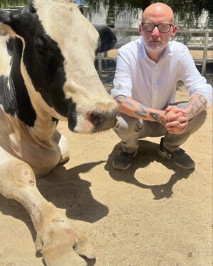 Moby Instagram - Day trip to @thegentlebarn to say hi to my best friends (who are rescued cows). It’s always amazing to visit happy, calm, safe animals to be reminded that every animal is an individual, entitled to live their own life according to their will.