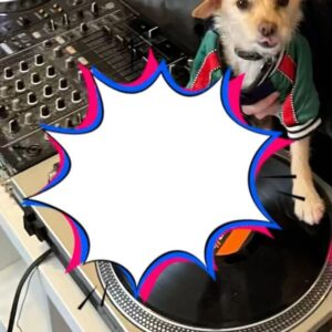 Moby Instagram - Special Moby Pod is up now about the history of DJing and …Lindsay & Bagel’s first DJ lesson..

@djmagofficial @technics_global @resident_advisor @beatport @mixmag @edm @edm_maniac @xlr8r_official @thisisransomnote @dancingastro @electronicbeats @humancontentpods