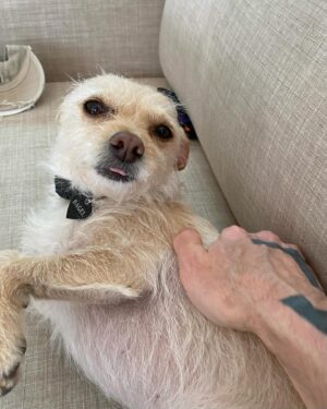 Moby Instagram - Our daily Bagel @linzhicks @candicebergenbagel
