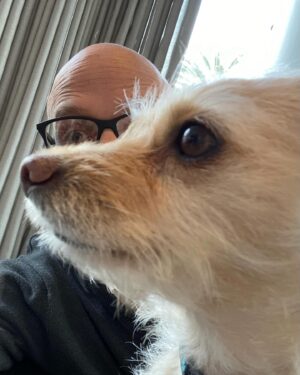 Moby Instagram - Our daily Bagel @linzhicks @candicebergenbagel