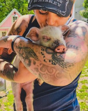 Moby Instagram - The single best thing about social media is seeing rescued animals living safe & happy lives.

@peacefield.farm @iowafarmsanctuary @sisurefuge @sleepypigfarm @edgarsmission @moustache_farmer @crittercreekfarmsanctuary @thegentlebarn @farmsanctuary