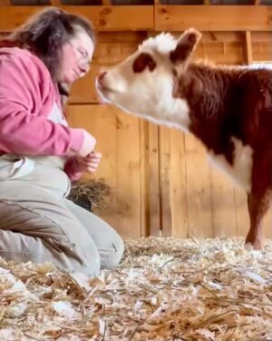 Moby Instagram - The single best thing about social media is seeing rescued animals living safe & happy lives.

@peacefield.farm @iowafarmsanctuary @sisurefuge @sleepypigfarm @edgarsmission @moustache_farmer @crittercreekfarmsanctuary @thegentlebarn @farmsanctuary