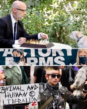 Moby Instagram - Punk Rock Vegan Movie is finally out! And it's free!!! Thank you!!! #veganforlife #xvx