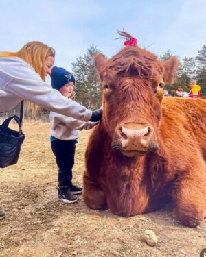 Moby Instagram - The single best thing about social media is seeing rescued animals living safe & happy lives.

@peacefield.farm @iowafarmsanctuary @sisurefuge @sleepypigfarm @edgarsmission @moustache_farmer @crittercreekfarmsanctuary @thegentlebarn @farmsanctuary