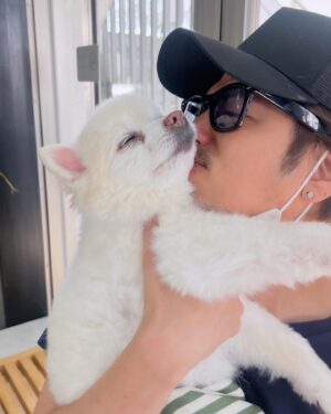 Mocomichi Hayami Instagram - 🥳モンローさん17さい！おたんじょうびおめでとー‼️😭

#モンロー
#まめころモンロー
#おたんじょうび