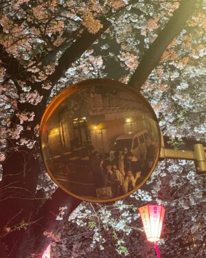 Moeka Ukawa Instagram - ♡
こないだお稽古終わりに🌸
季節と格好があってない気がするけど、、
この日はとても寒かったんです！
・
花粉が辛いけど春が一番好きな季節🫧𓂃𓈒𓏸