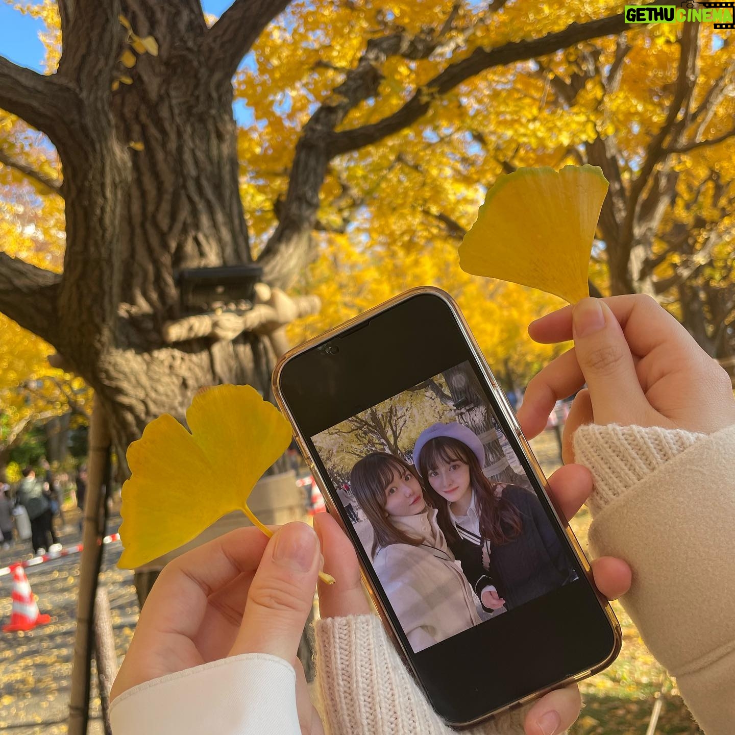 Moeka Ukawa - 734 Likes - ♡
今年もイチョウ見に行けました!☺️