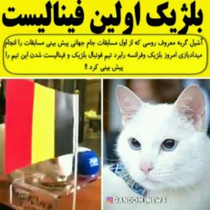 Mohammad Safari Instagram - لــطــفــا ورق بزنـــیــد 👈👈👈👈
📌
📌
مـــا را دنـــــبــال کنــید 👇👇👇👇
@MSafariofficial
@MSafariofficial
@msafariofficial
🏁
🏁
⚽
⚽
گربه روسی معروف آشیل می گوید تیم ملی فوتبال بلژیک در مرحله نیمه نهایی جام جهانی 2018 روسیه امشب مقابل فرانسه پیروز خواهد شد !! شما نتیجه این بازی را چند چند پیش بینی می کنید ؟؟؟ .
@fifaworldcup .
⚽⚽ Известный российский котик Ахиллес говорит, что бельгийская команда выиграет в полуфинале Кубка мира 2018 года! Что вы думаете об этой игре? ⚽
.
.

Achilles famous Russian cat says the Belgian team will win in the 2018 World Cup semi finals !! What do you think of this game?⚽ .
 قال القطة الروسية الشهيرة أخيل أن المنتخب البلجيكي سيفوز في الدور نصف النهائي من كأس العالم 2018! ما رأيك في هذه اللعبة؟ ⚽

有名なロシアの猫アキレスは、ベルギーのチームが2018年ワールドカップの準決勝で勝つと言います！ このゲームについてどう思いますか？⚽ .
.
Ünlü Rus kedisi Aşil, Belçikalı takımın 2018 Dünya Kupası yarı finalinde kazanacağını söylüyor! Bu oyun hakkında ne düşünüyorsun? ⚽
.
.
#عادل_فردوسی_پور #جوادخیابانی #مزدک_میرزایی
 #گزارشگر #گزارشگری #گزارش_ورزشی
#فوتبال #جام_جهانی #برنامه۲۰۱۸ #جام_جهانی۲۰۱۸ #استقلال #پرسپولیس #لیگ_برتر #برنامه_نود #نوستالژی 
#worldcup2018 
#fifaworldcup

#mohammadsafari #mohammad_safari #msafariofficial
#محمدصفری #محمد_صفری
