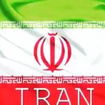 Mohammadreza Sharifinia