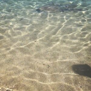 Molly Windsor Instagram - 🇬🇷🧜🏻‍♀️