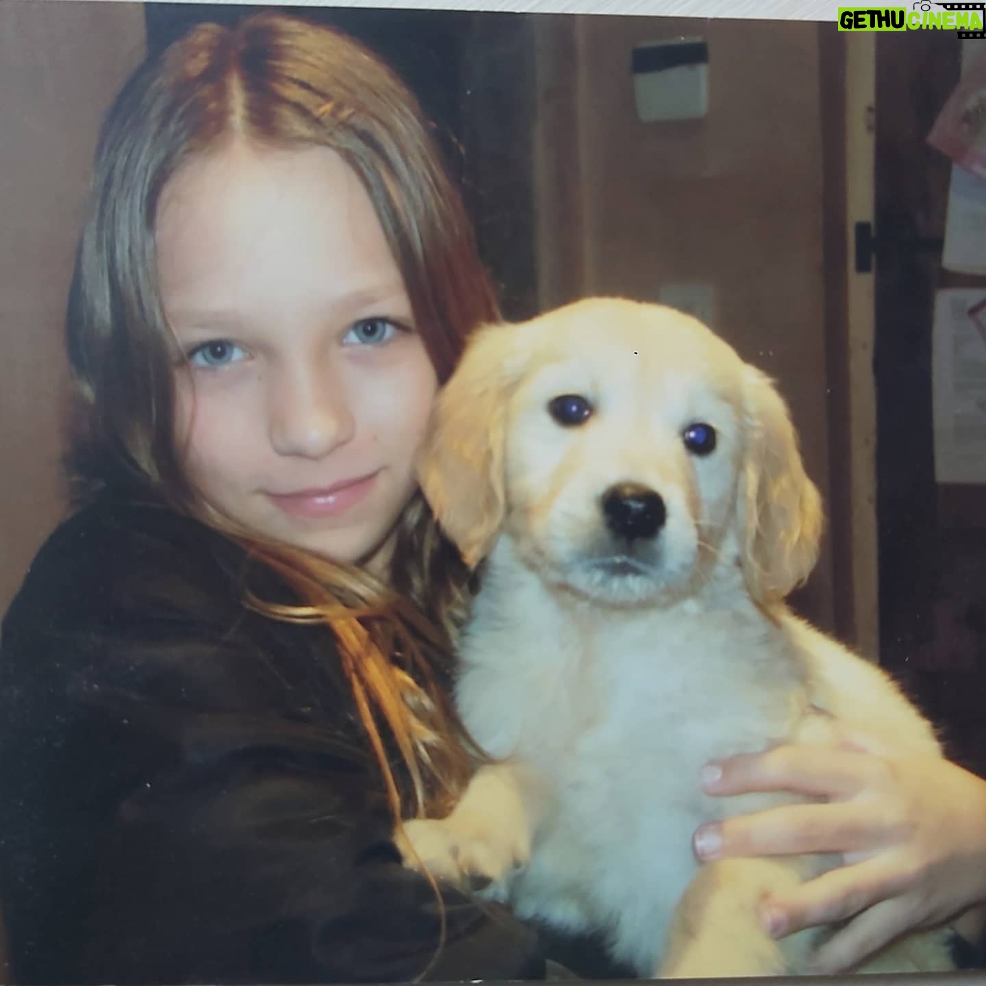 Molly Windsor - 2.7K Likes - I can't explain how wonderful Drummer was, he was truly special, the gentlest, funniest, sweetest boy for all of his 12 years. He was so loved and I miss him so much ❤