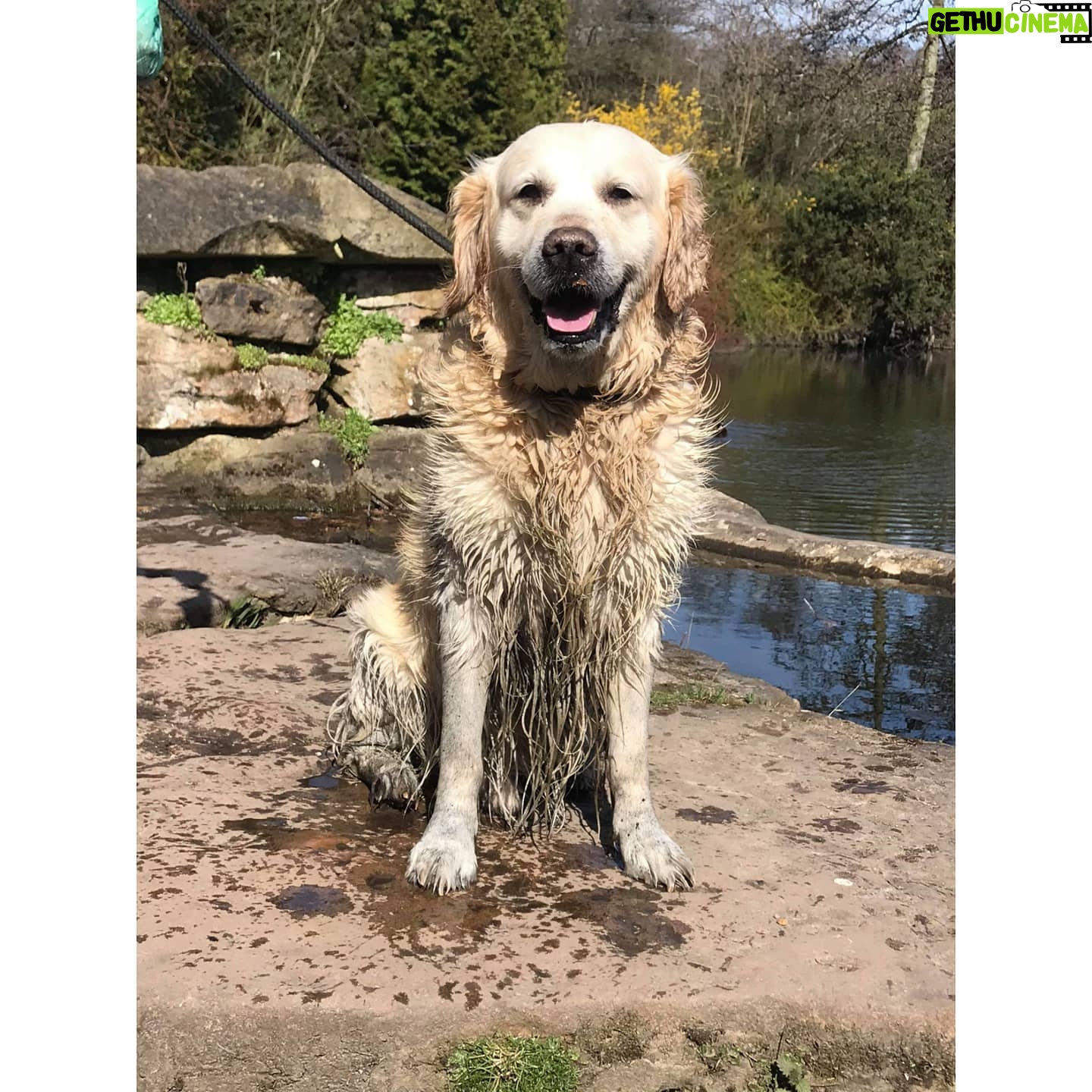 Molly Windsor - 609 Likes - "Careful boy, don't fall in the mucky water" š¤¦āāļø