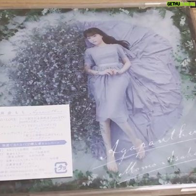 Momo Asakura - 4.1K Likes - #Agapanthus
#もちょ10 #麻倉もも #オンラインもちょ