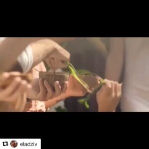 Monica Ruiz Instagram - Four seasons Lanai commercial #fourseasonslanai