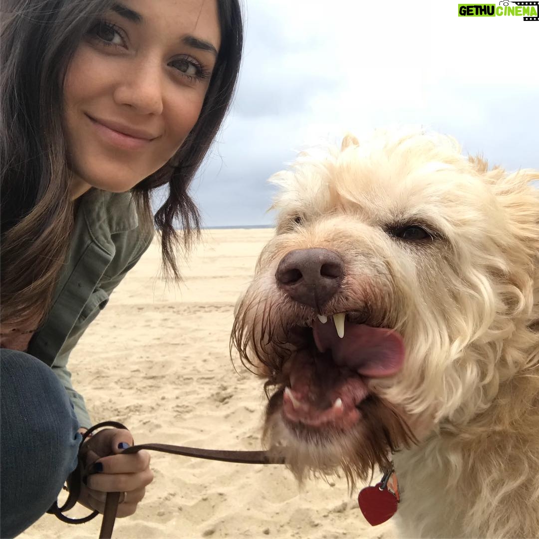 Monica Ruiz - 459 Likes - I said to smile, not try to look tough #terriermix #dogsofinsta #grossbreath #lovehimanyway