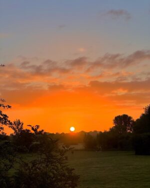 Monty Don Instagram - Morning
