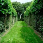 Monty Don