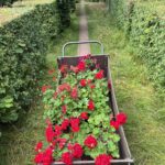 Monty Don