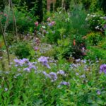 Monty Don