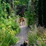 Monty Don