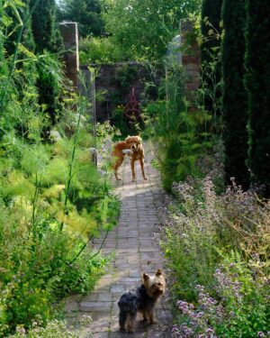 Monty Don Instagram - Good morning and happy new month! My website montydon.com has lots of fresh advice, tips, jobs and inspiration for your July garden.