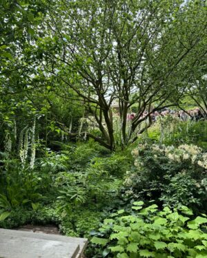 Monty Don Instagram - I thought the NGS  garden by Tom Stuart Smith sublime- and worth visiting chelsea flower show for on its own.