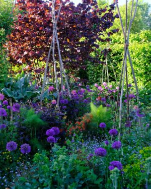 Monty Don Instagram - The Jewel garden