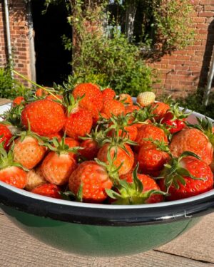 Monty Don Instagram - This evening's pick - still deliciously warm from the sun