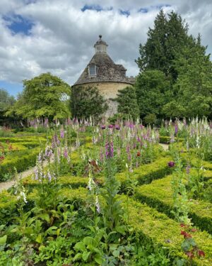 Monty Don Instagram - Perfect foxgloves at Rousham this afternoon
