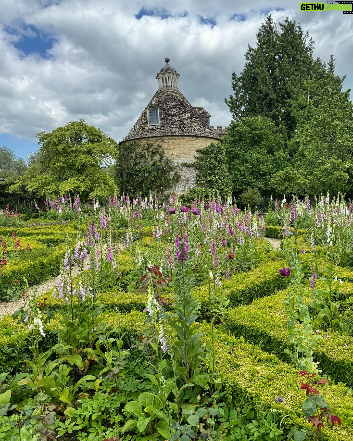 Monty Don - 24.7K Likes - Perfect foxgloves at Rousham this afternoon