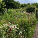 Monty Don