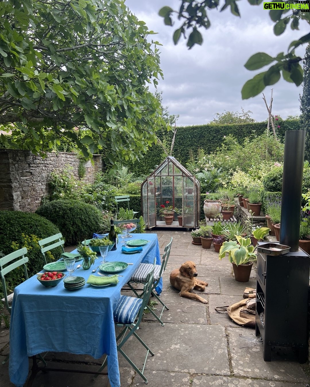 Monty Don - 40.6K Likes - June dinner al fresco #thegardeningbook