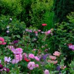 Monty Don
