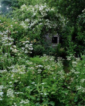 Monty Don Instagram - The Writing Garden