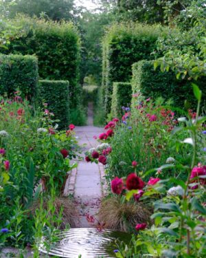 Monty Don Instagram - Happy new month! Glorious June is here. Treasure every moment of the best of the year and to help you make the most of it in your garden visit my website montydon.com for tips, advice and inspiration.