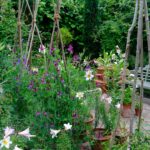 Monty Don