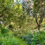 Monty Don