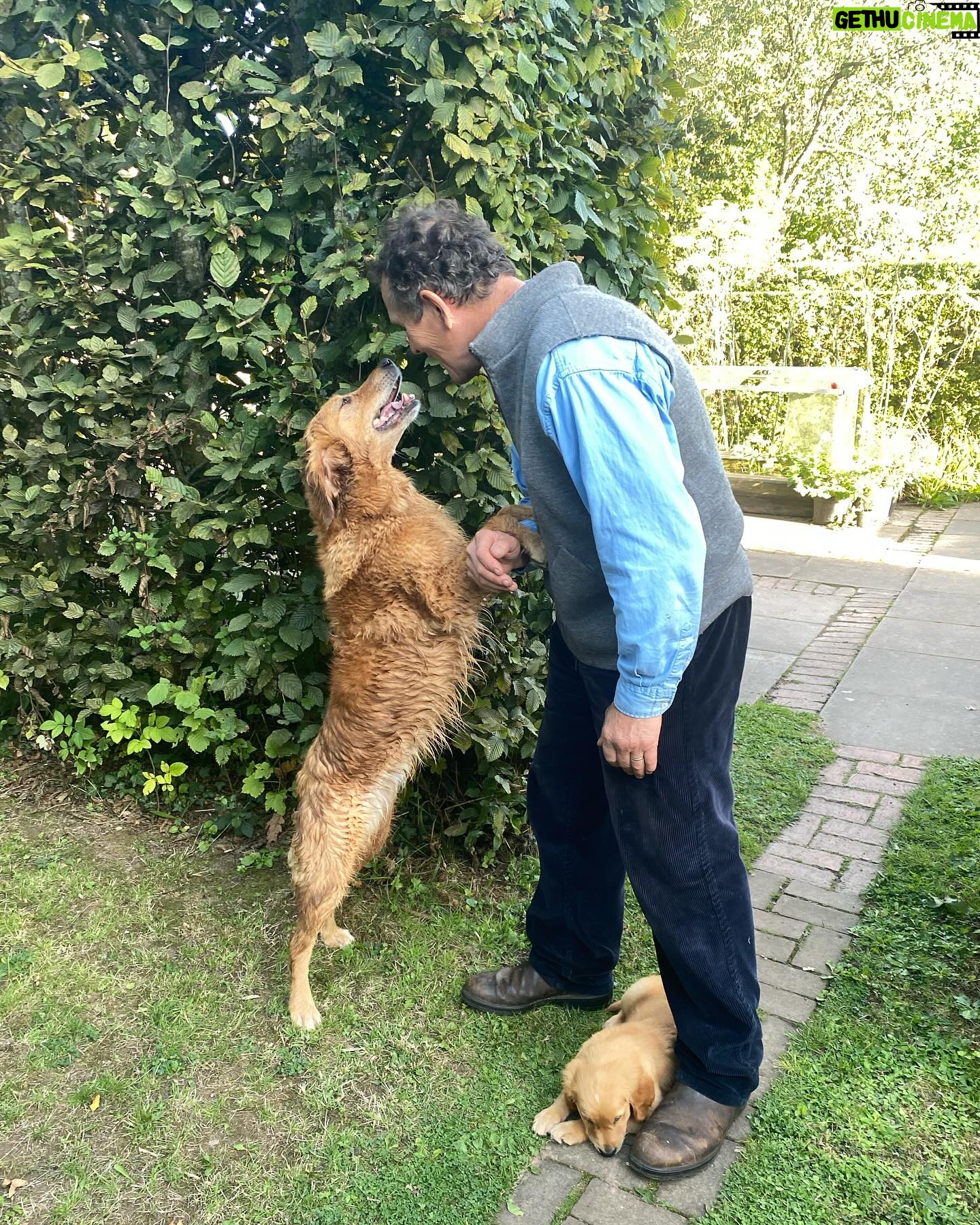 Monty Don - 46.1K Likes - More memories- reassuring Nellie just a few days after Ned arrived