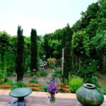 Monty Don