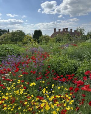 Monty Don Instagram - Great Dixter - trial beds