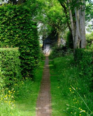 Monty Don Instagram - After the intense, exhilarating and inspirational but incredibly exhausting hurly burly of 6  days at Chelsea, the green embrace of my own garden is delicious.