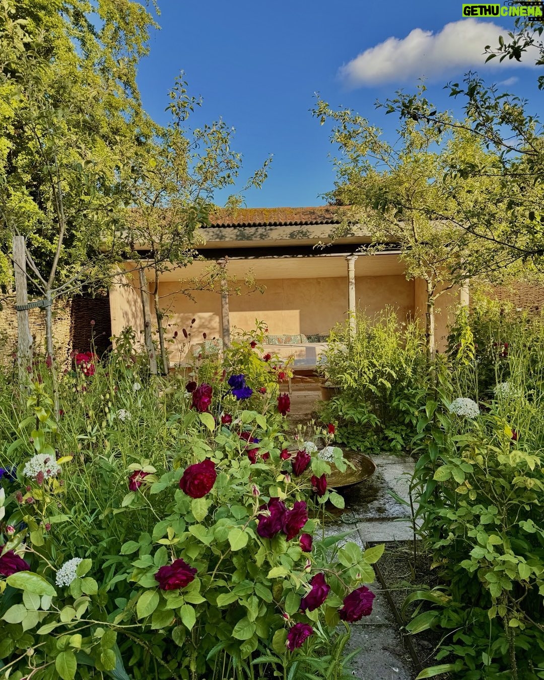 Monty Don - 14.9K Likes - Paradise garden in evening light