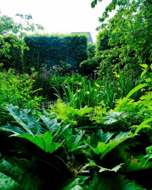 Monty Don Instagram - The two ponds in the garden are now enfolded in a lush girdle of plants