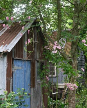 Monty Don Instagram - I do love a shed ( or two, or three)
