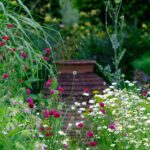 Monty Don