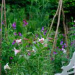 Monty Don