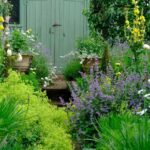 Monty Don