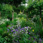 Monty Don