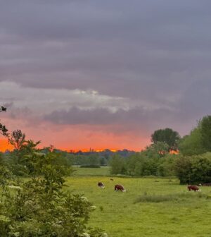 Monty Don Instagram - Last day of May, 5 am, Herefordshire